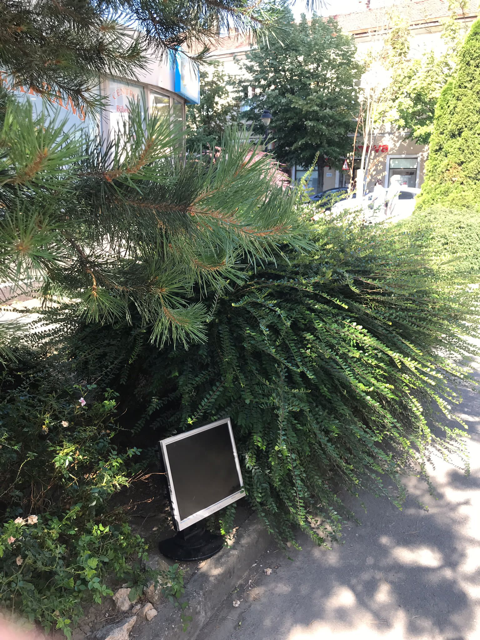 Căldură mare, mon cher!