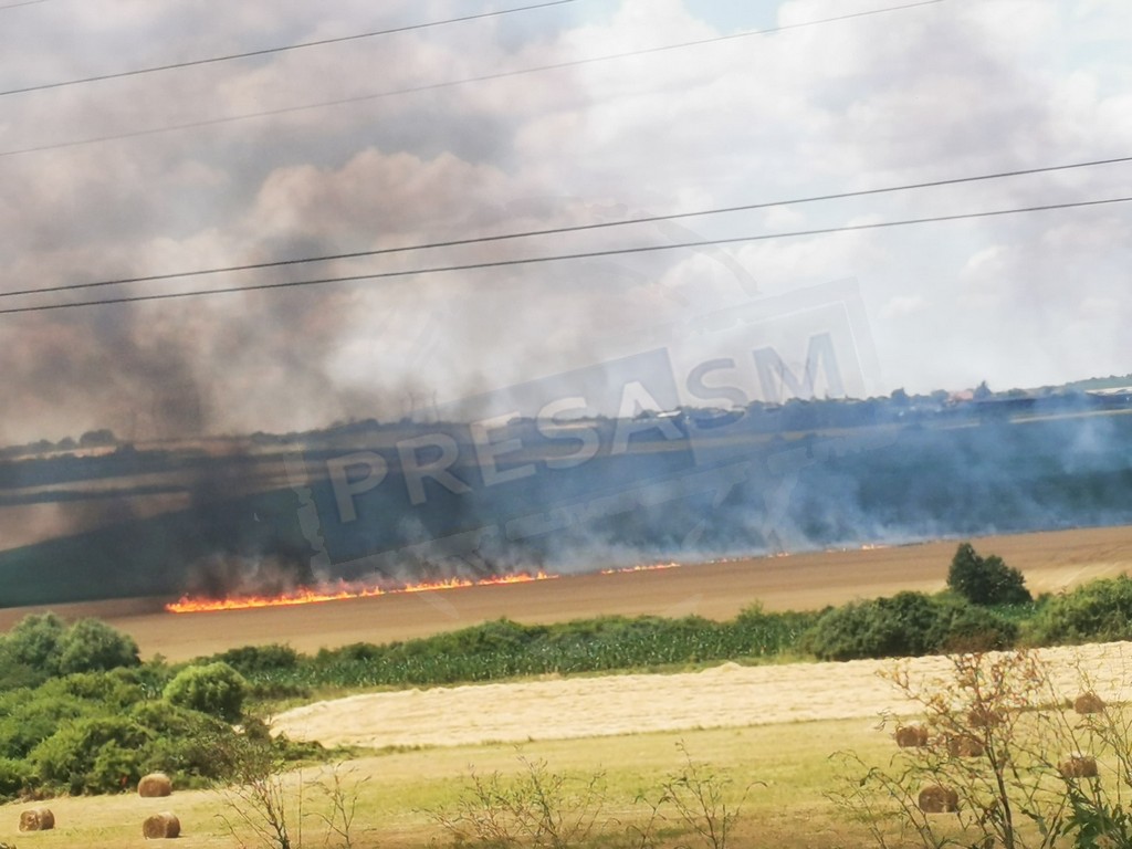 FOTO. INCENDIU colosal în zona ștrandului din Tășnad