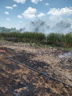 Incendiu de vegetație în Micula