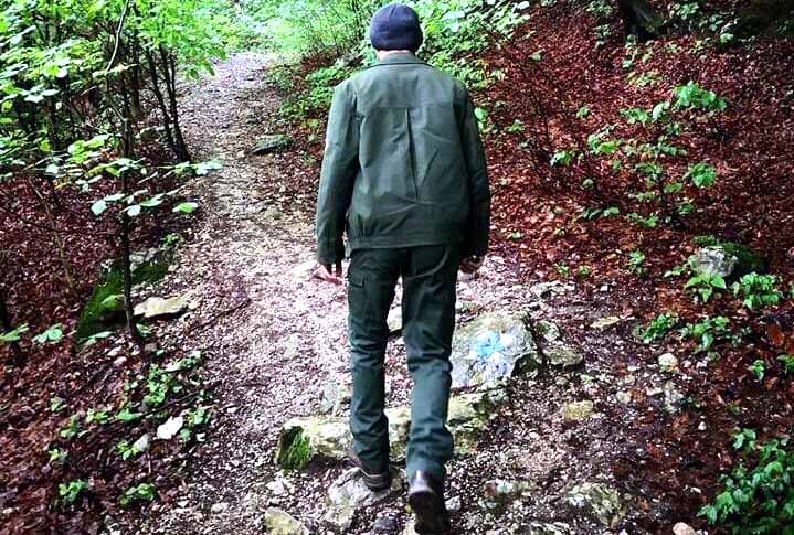 DNA ia cu asalt pădurarii din județul Satu Mare. Au fost acuzați de dare și luare de mită