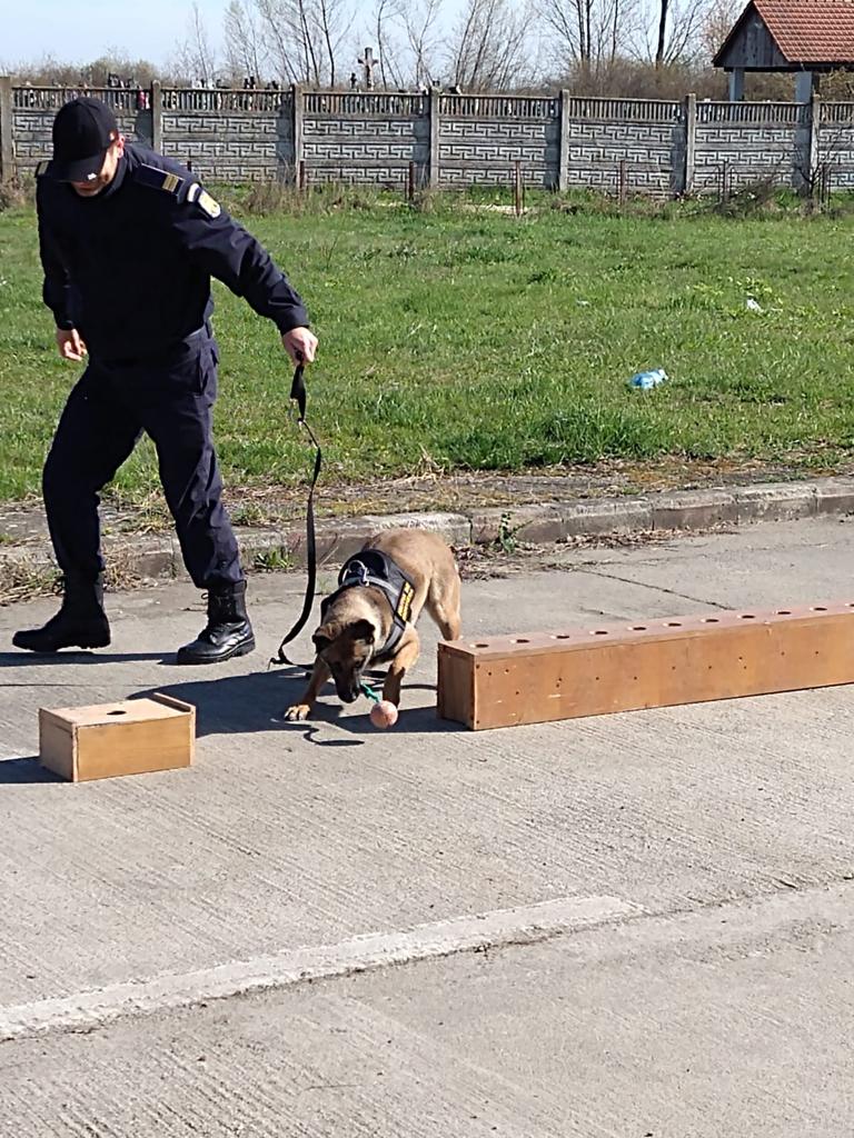 Un câine de la Petea cu ochii și nasul pe  UNTOLD