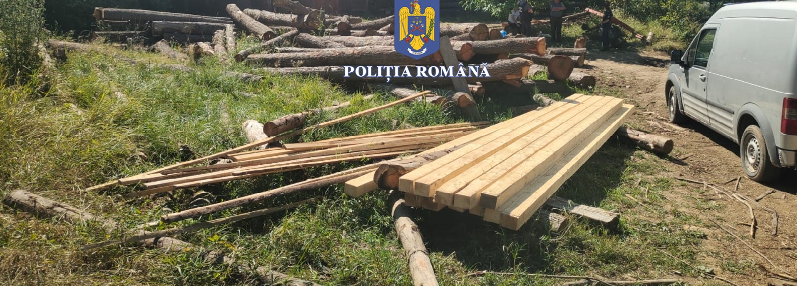 Activități desfășurate la nivelul Inspectoratului de Poliție Județean  pentru prevenirea și combaterea faptelor ilegale din  domeniul forestier