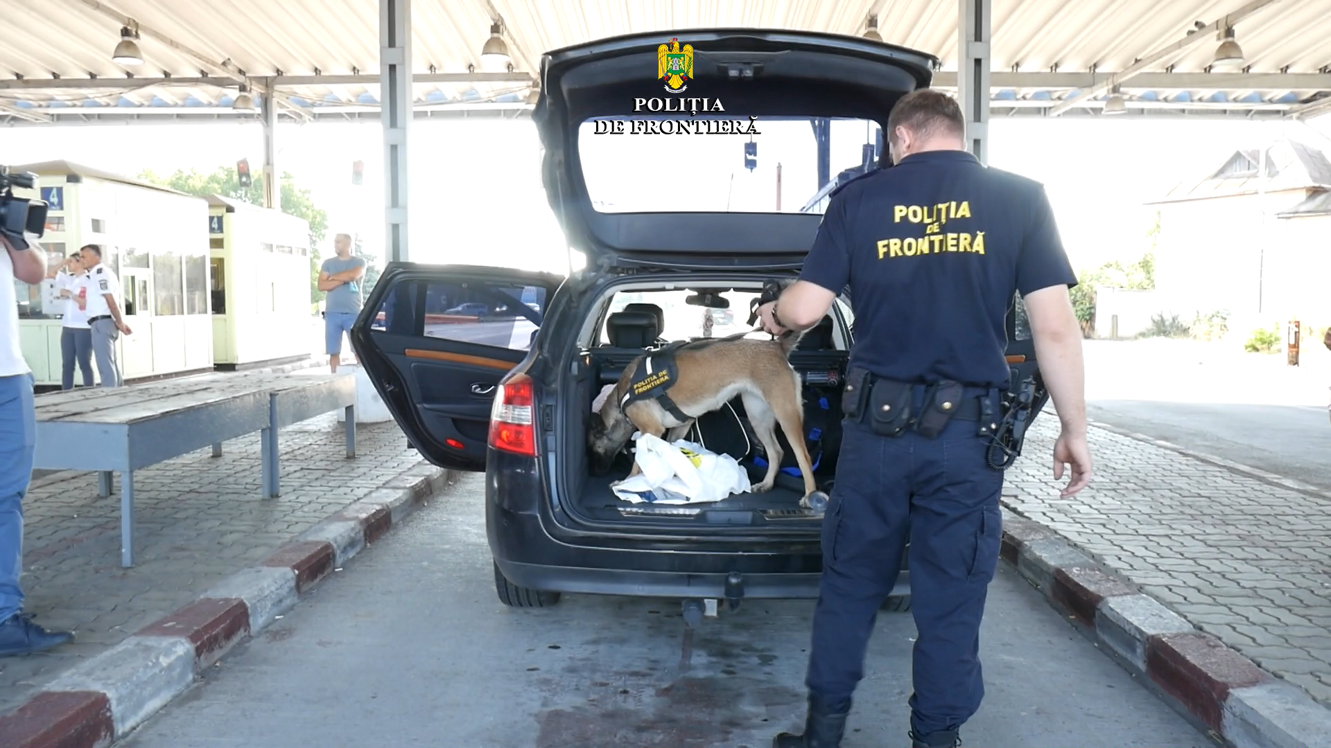 Acțiune de detectare droguri în PTF Petea, cu ajutorul câinelui specializat Cima