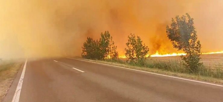 Incendiu de proporții între Carei și Moftin