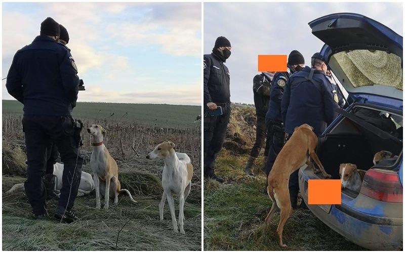 Sătmărean, cercetat pentru pentru acte de braconaj