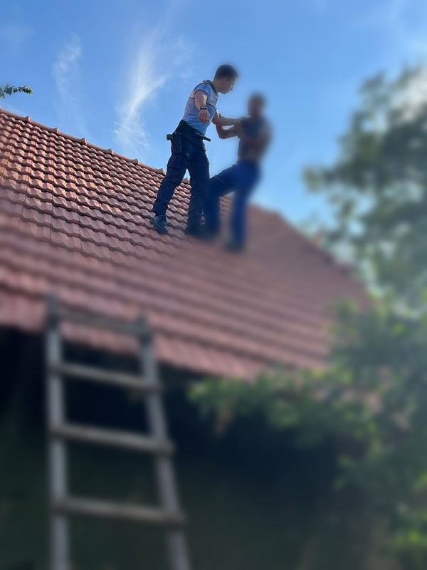 Tentativă de suicid, combătută