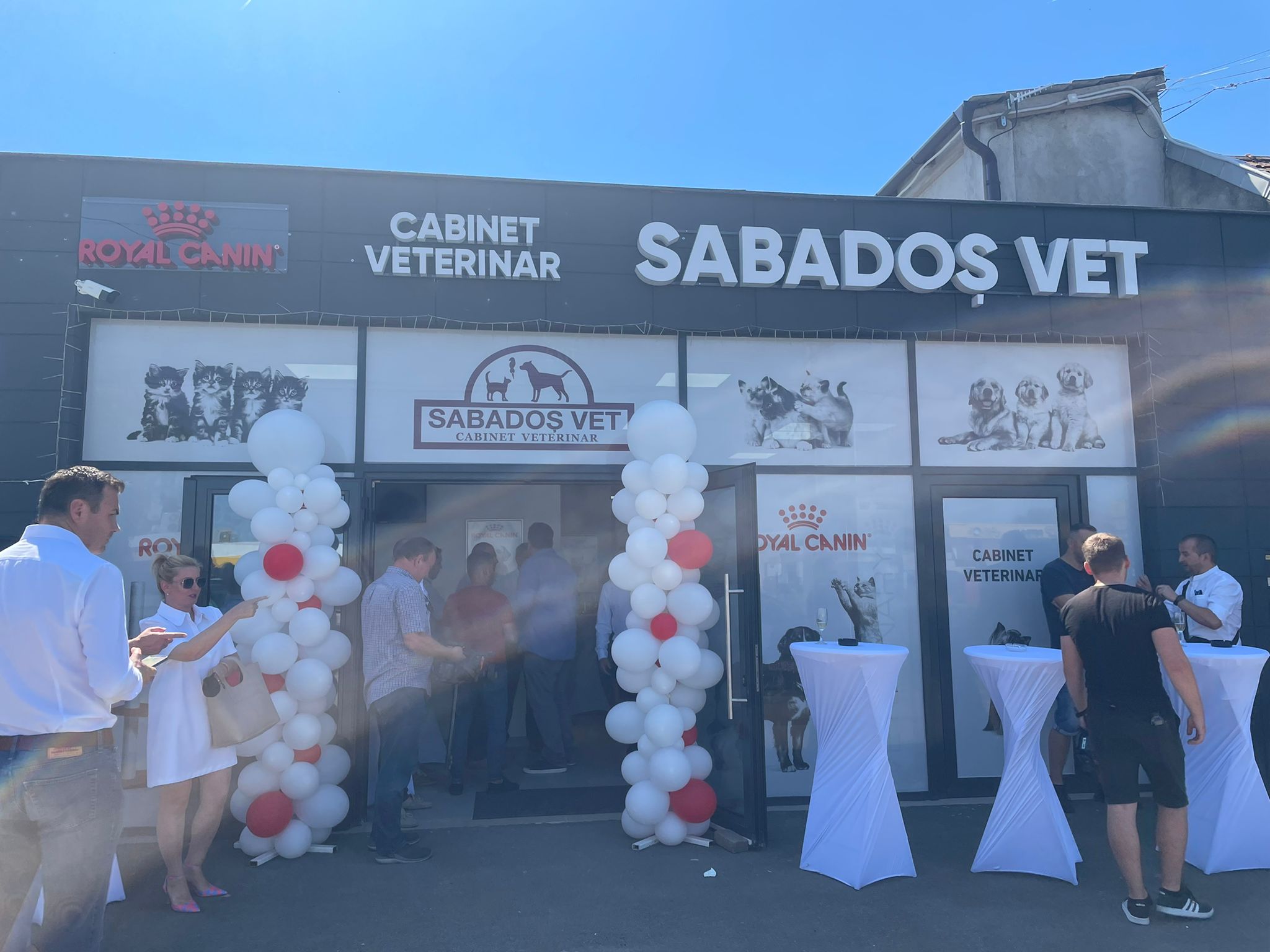 SABADOȘ VET, deschis oficial pentru toate animăluțele din Satu Mare!