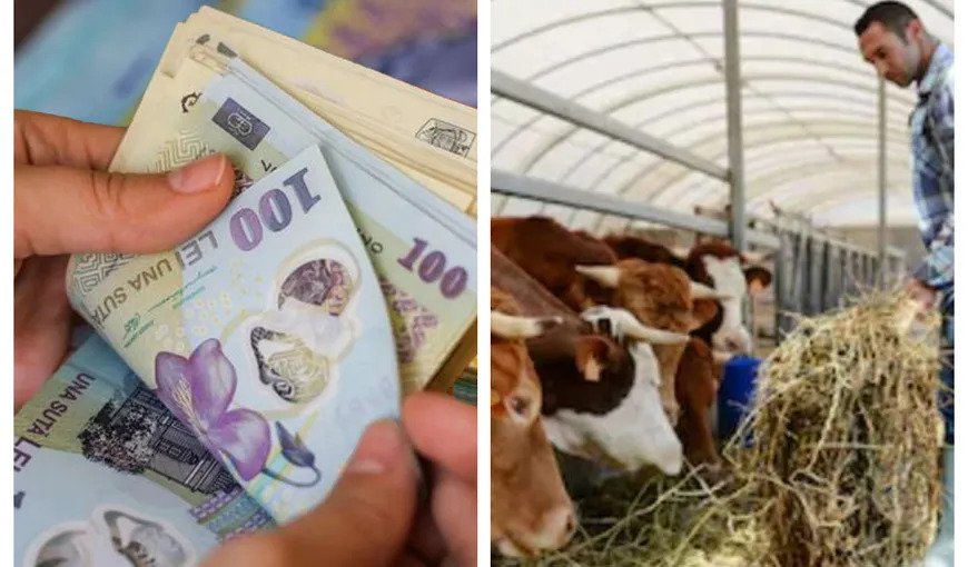 Calculator subvenţii APIA 2022. Câţi bani vor primi fermierii de la stat