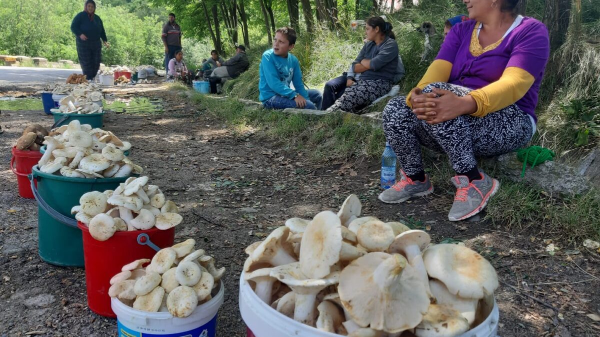 Este o chestiune de timp până ajung primii oameni la spital