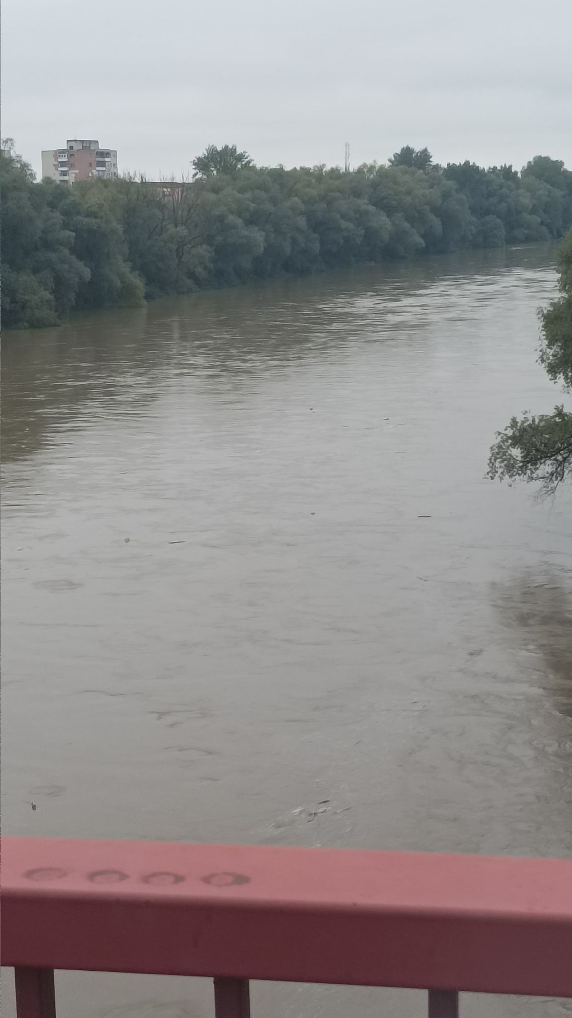 Valuri de deșeuri pe Someș