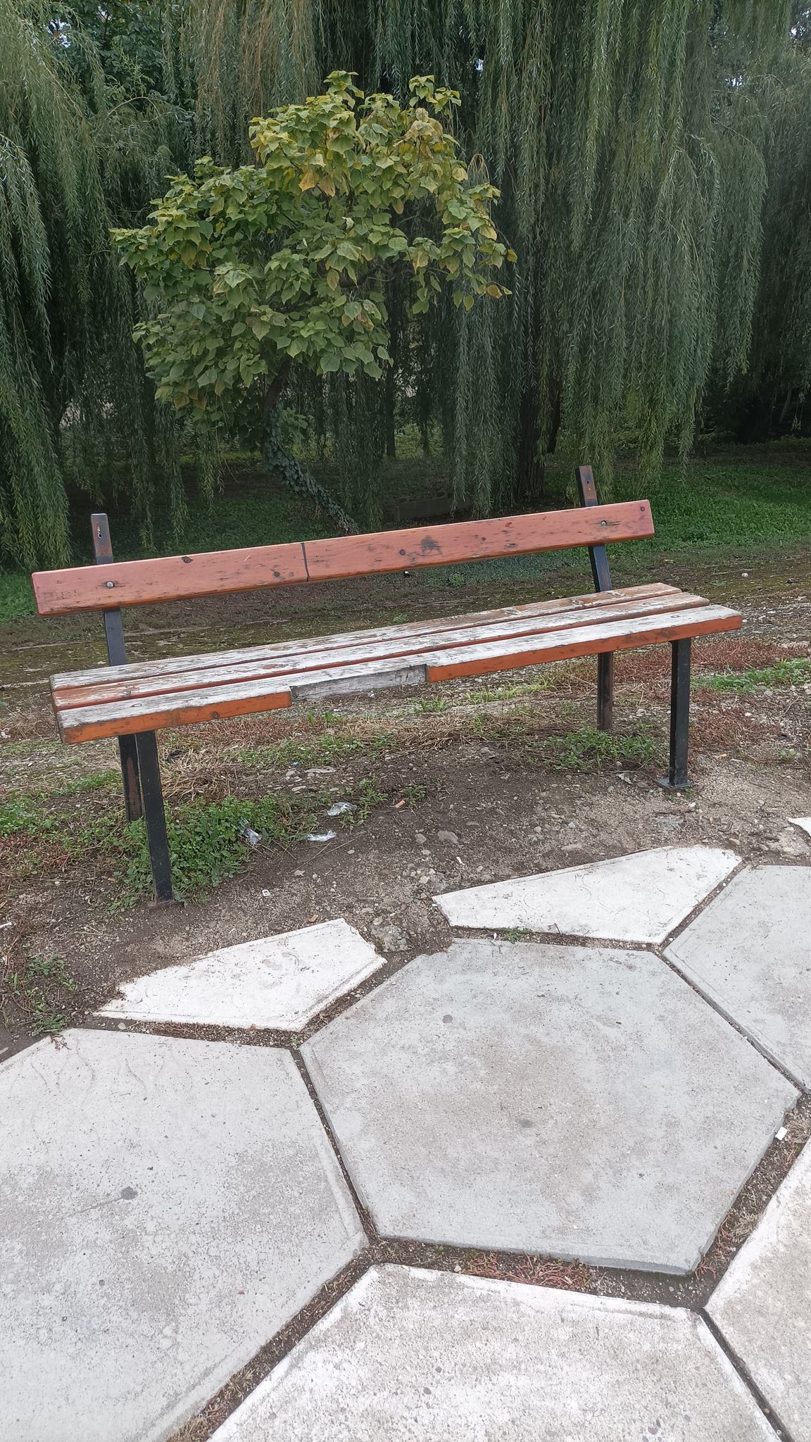 Confort sporit pe digul din Satu Mare