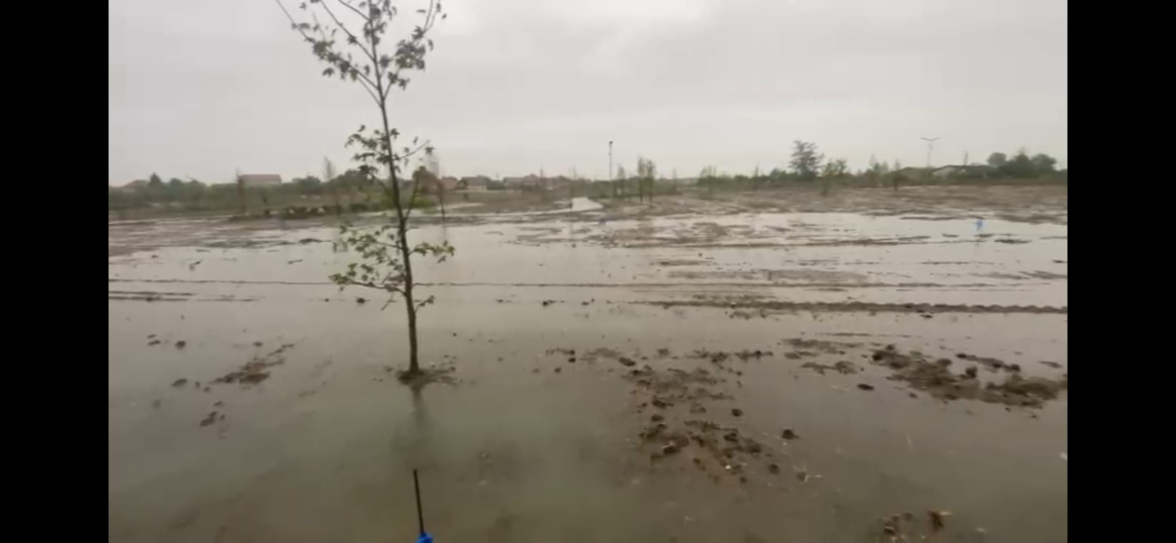 Cubicul, tot lac vrea să fie