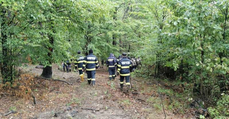 Nebunia ciupercilor. Două persoane rătăcite în pădure în ultimele zile