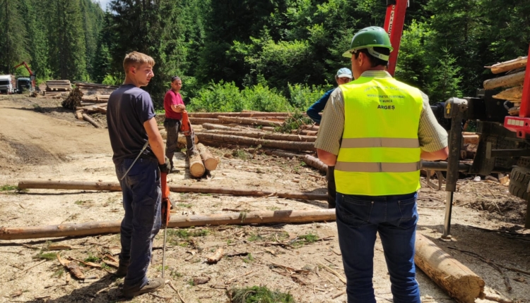 Controale la firmele de exploatare forestieră