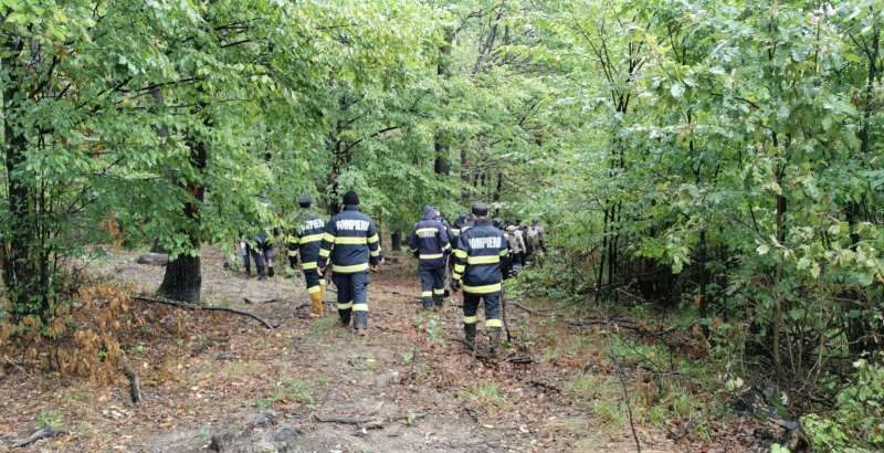 Bărbat dispărut în Pădurea Noroieni. A mers să culeagă ciuperci