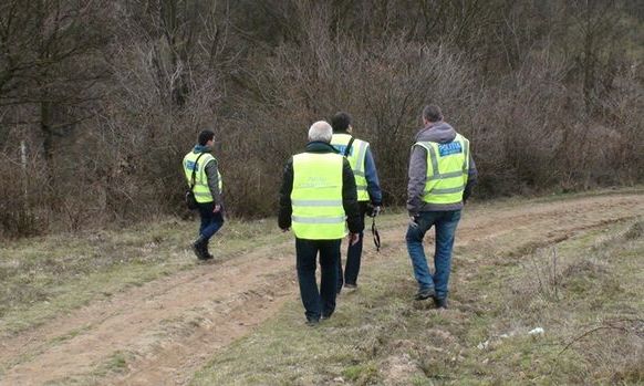 Ciupercile fac din nou ravagii. Șase copiii s-au rătăcit în pădure