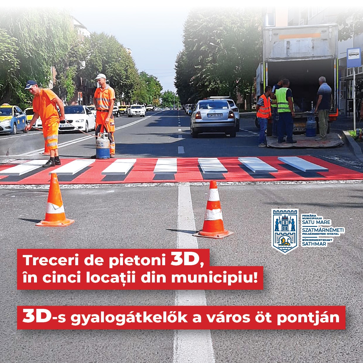FOTO. PREMIERĂ la Satu Mare. Primele Zebre 3 D