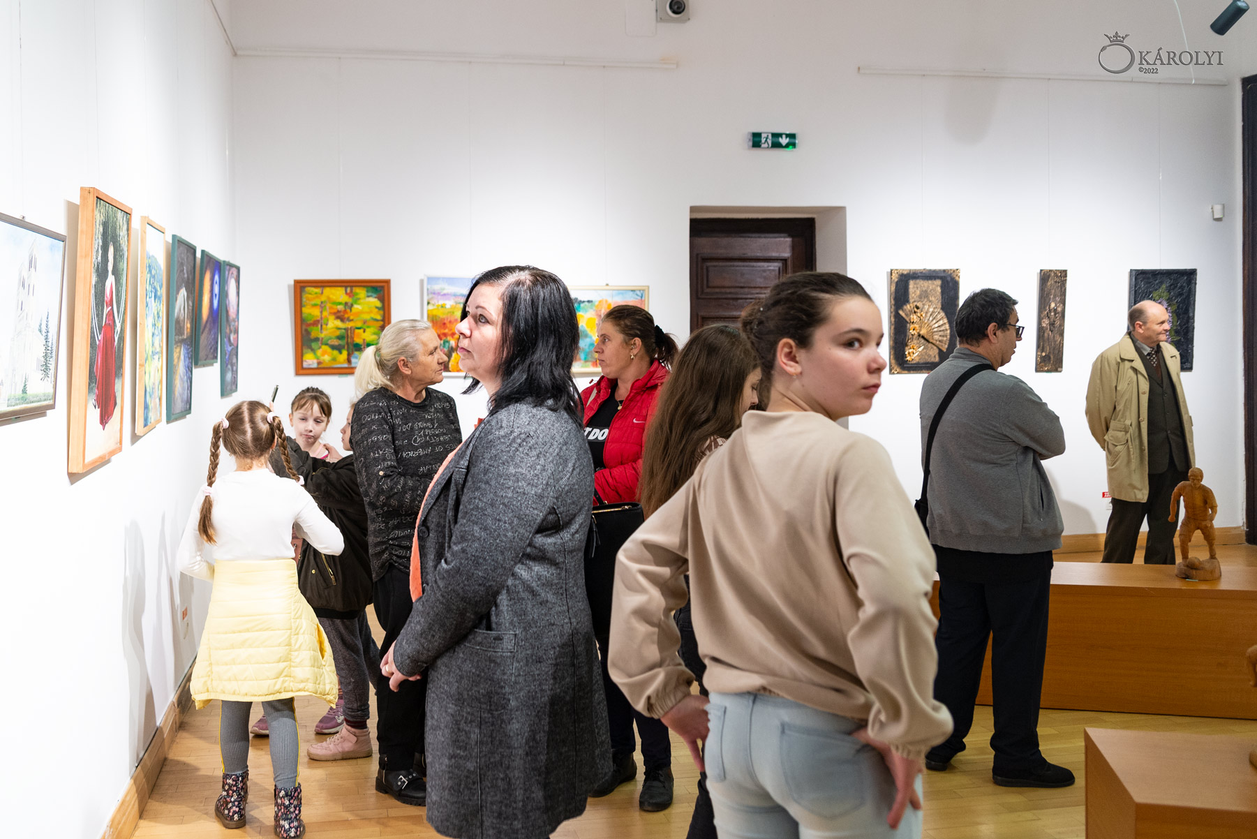 Vernisajul Expoziției Asociației Artiștilor Plastici Satu Mare la Castelul din Carei