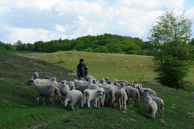 Târșolț - locul unde urmașii dacilor liberi își păstrează cu sfințenie  tradițiile și obiceiurile