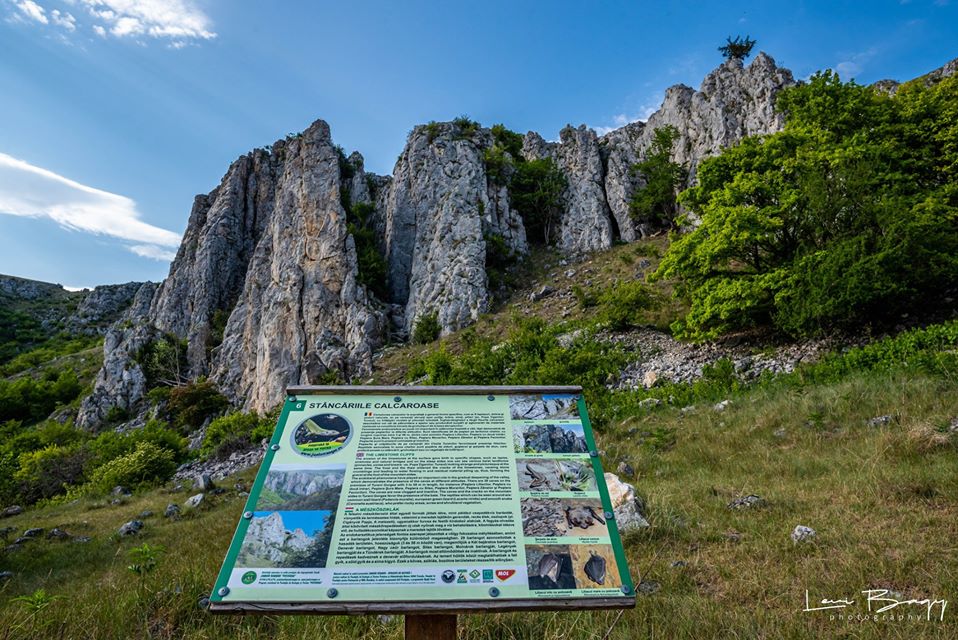 Cheile Turenilor – mica oază de sălbăticie care  te cucerește din prima