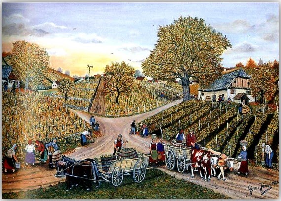 Viticultura a avut un rol foarte important în cadrul economiei feudale în ținuturile Sătmarului și Careiului