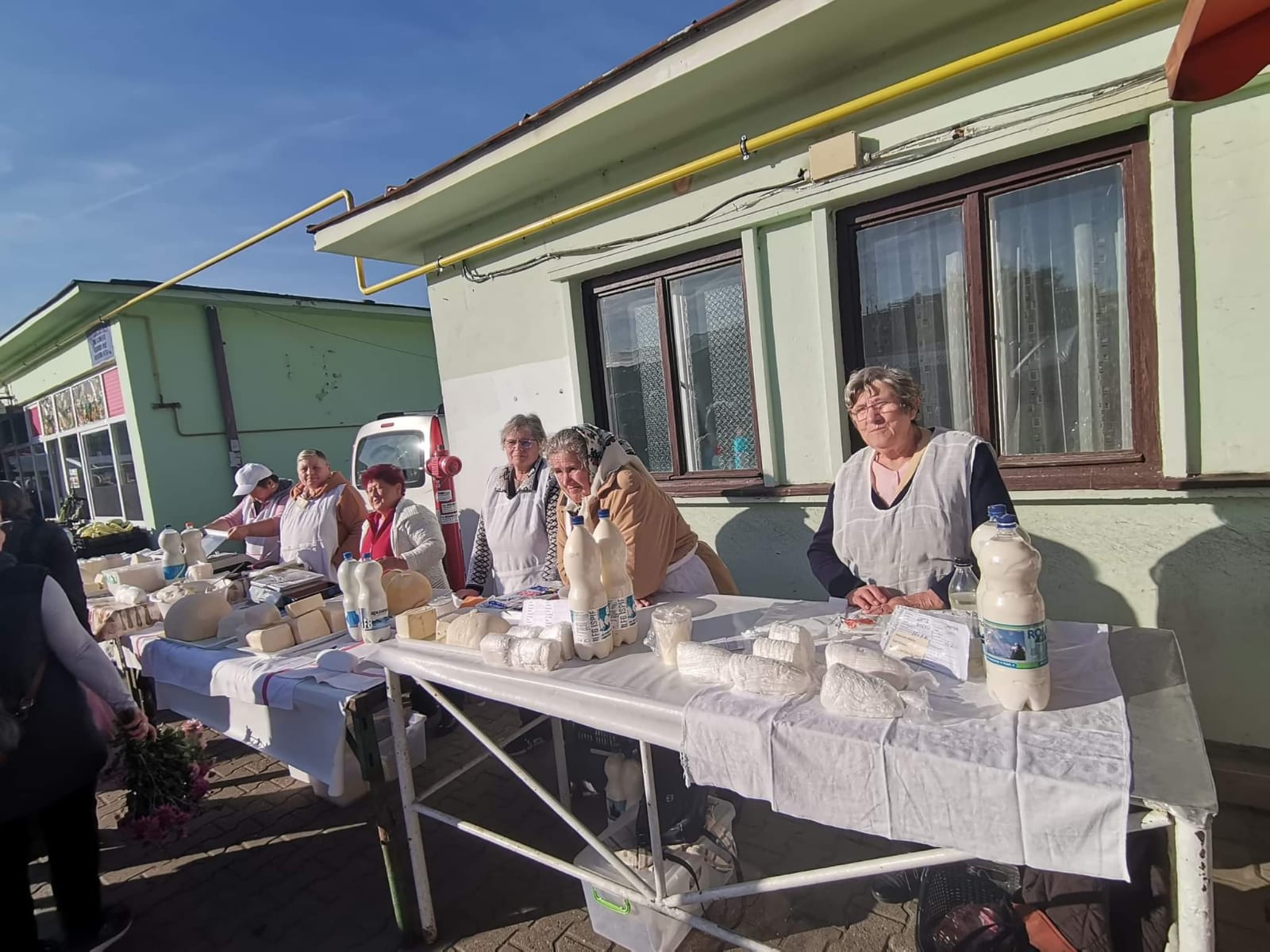 VERTICALI PENTRU ROMÂNIA: GLASUL OAMENILOR DIN... ȘI  DE LÂNGĂ NOI II