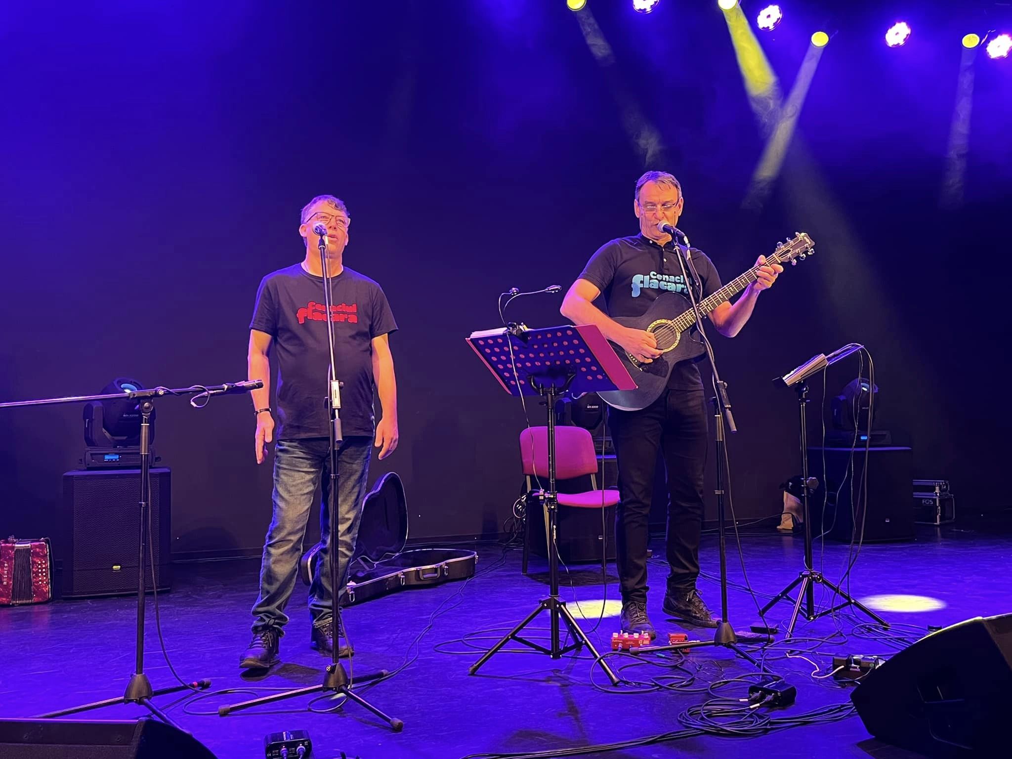 Super-concert Andrei Păunescu și Vanghele Gogu