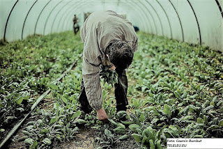 SOCIAL. Tânărul care ieri a fost boschetar, astăzi își plătește singur chiria