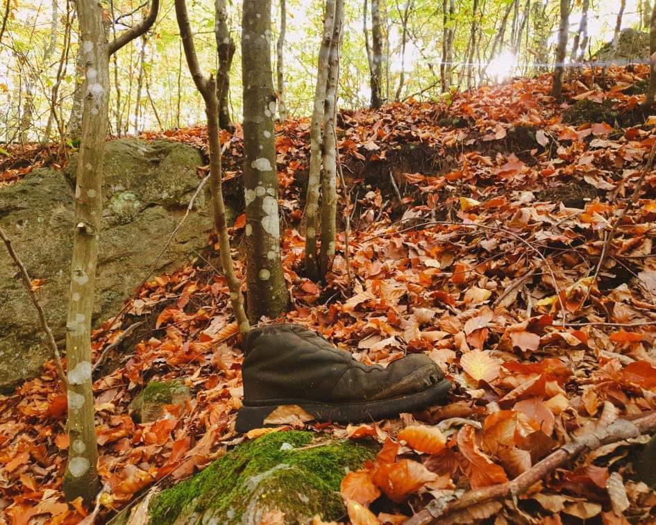 Frumusețea toamnei și un bocanc