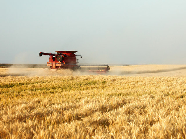 ATENȚIE COOPERATIVE - RISCAȚI RADIEREA DACĂ NU AVEȚI DEPUSE SITUAȚIILE FINANCIARE LA ZI