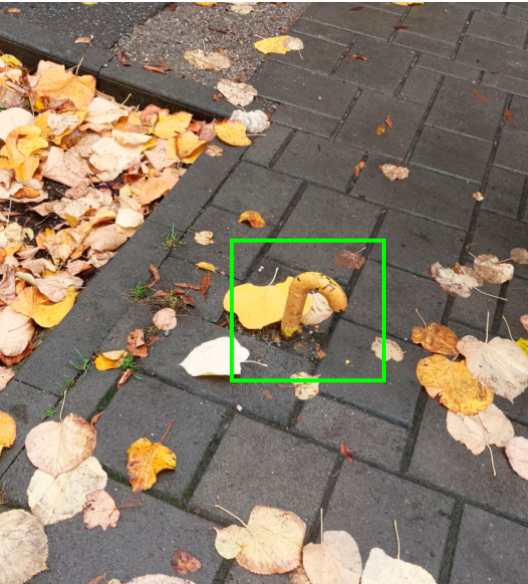 Capcană pentru blonde