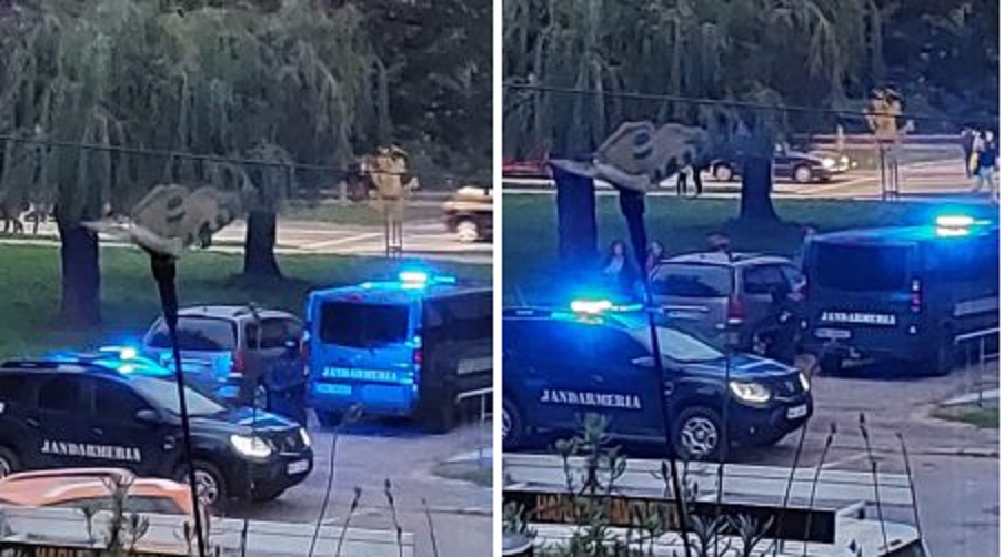 FOTO. PERCHEZIȚII  de amploare la Satu Mare. DROGURI  de MARE RISC