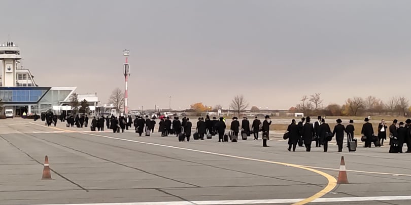 Turişti de lux la Satu Mare