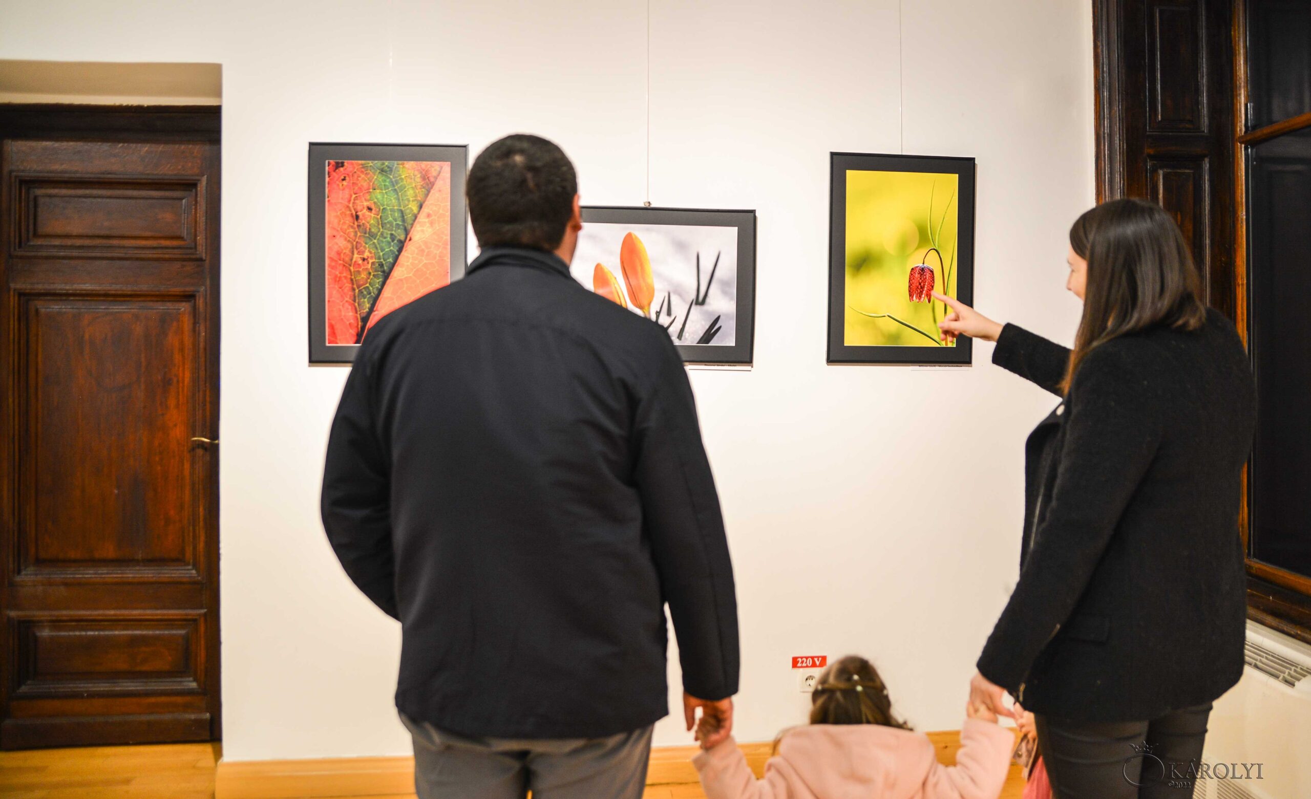 Expoziția „Prin ochii noștri", vernisată la Carei