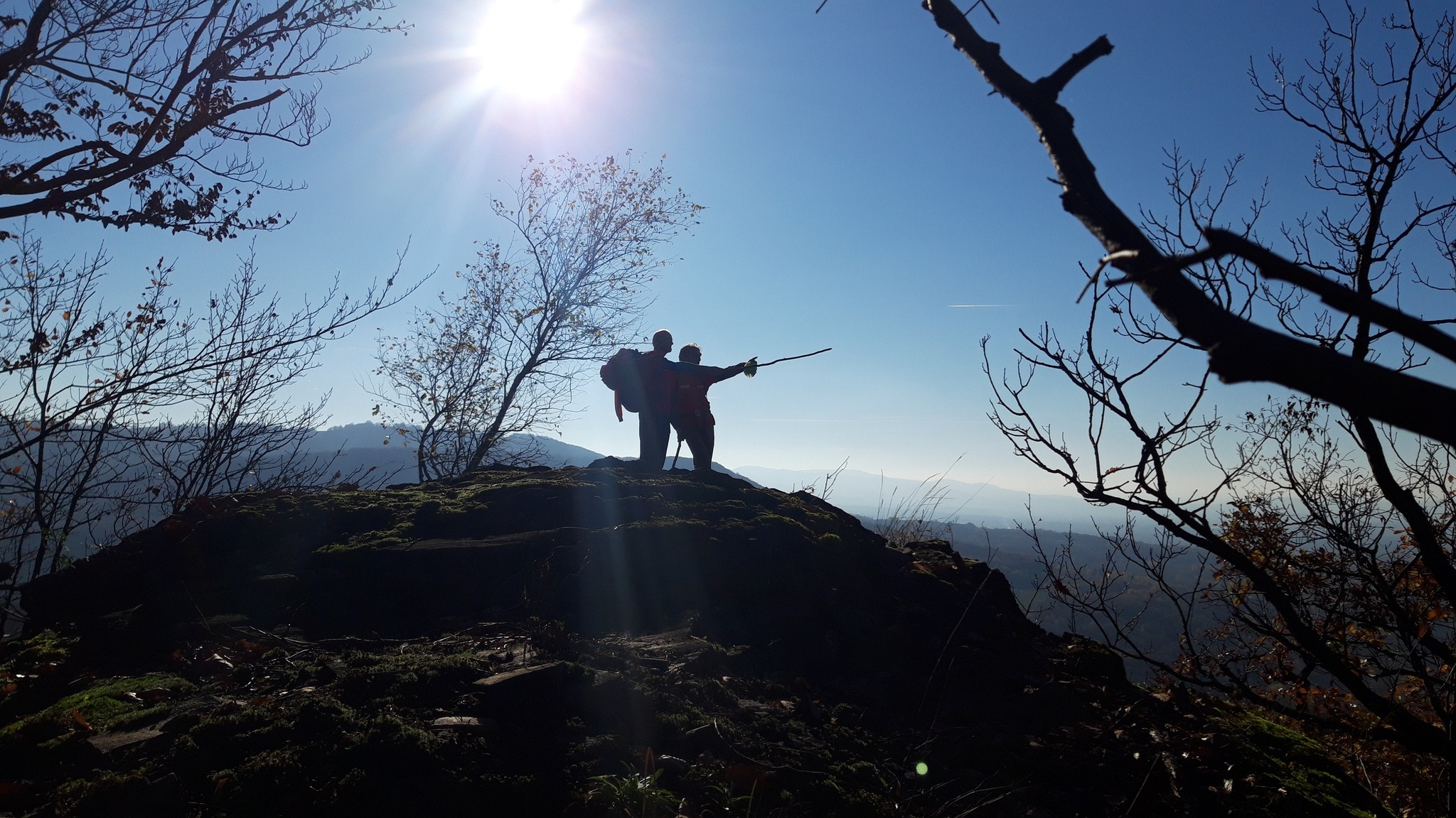 Info Salvamont - proiecte noi!