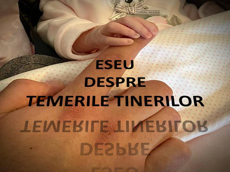 VERTICALI PENTRU ROMÂNIA: ÎNCREDEREA – PROVOCARE SAU BINECUVÂNTARE?