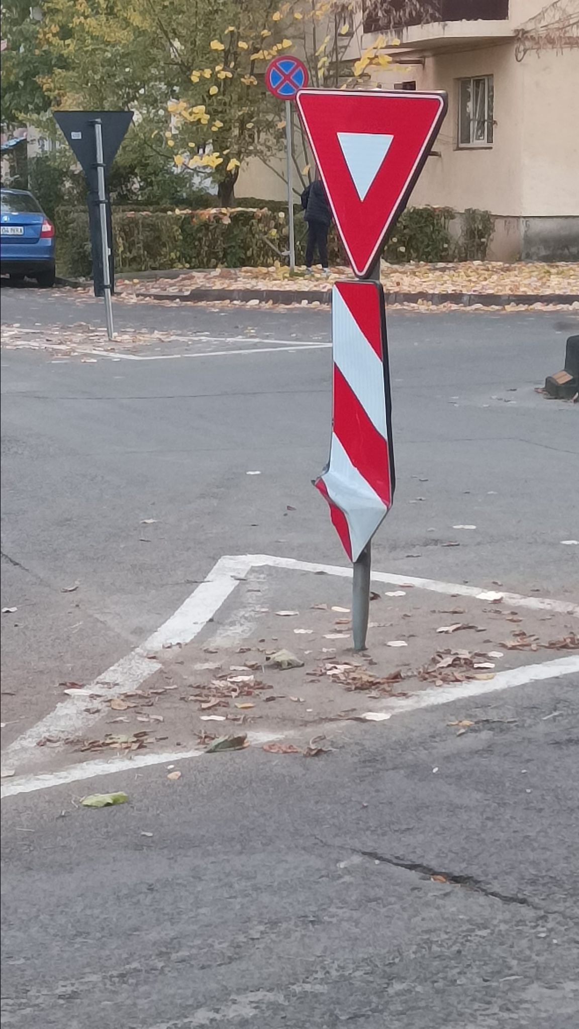 Unul dintre cele mai mici sensuri giratorii a fost și el pupat