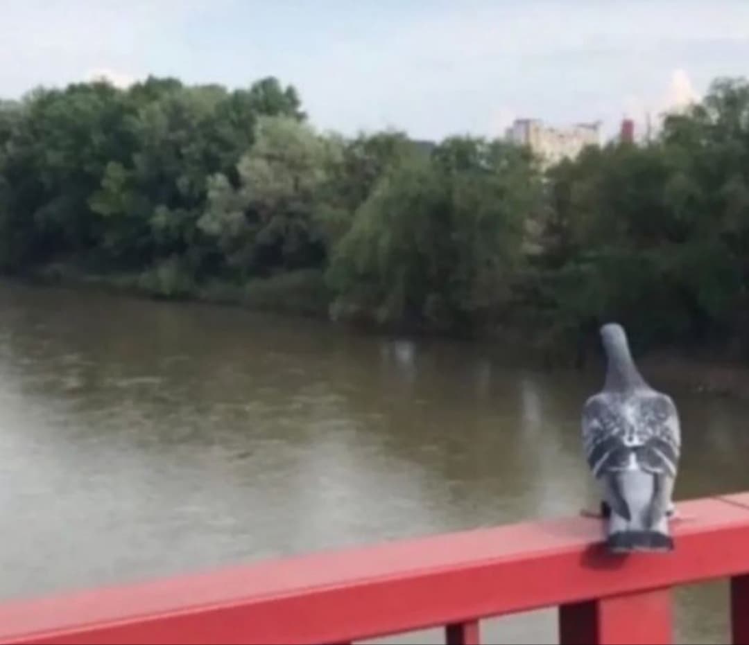 Melancolie la final de toamnă