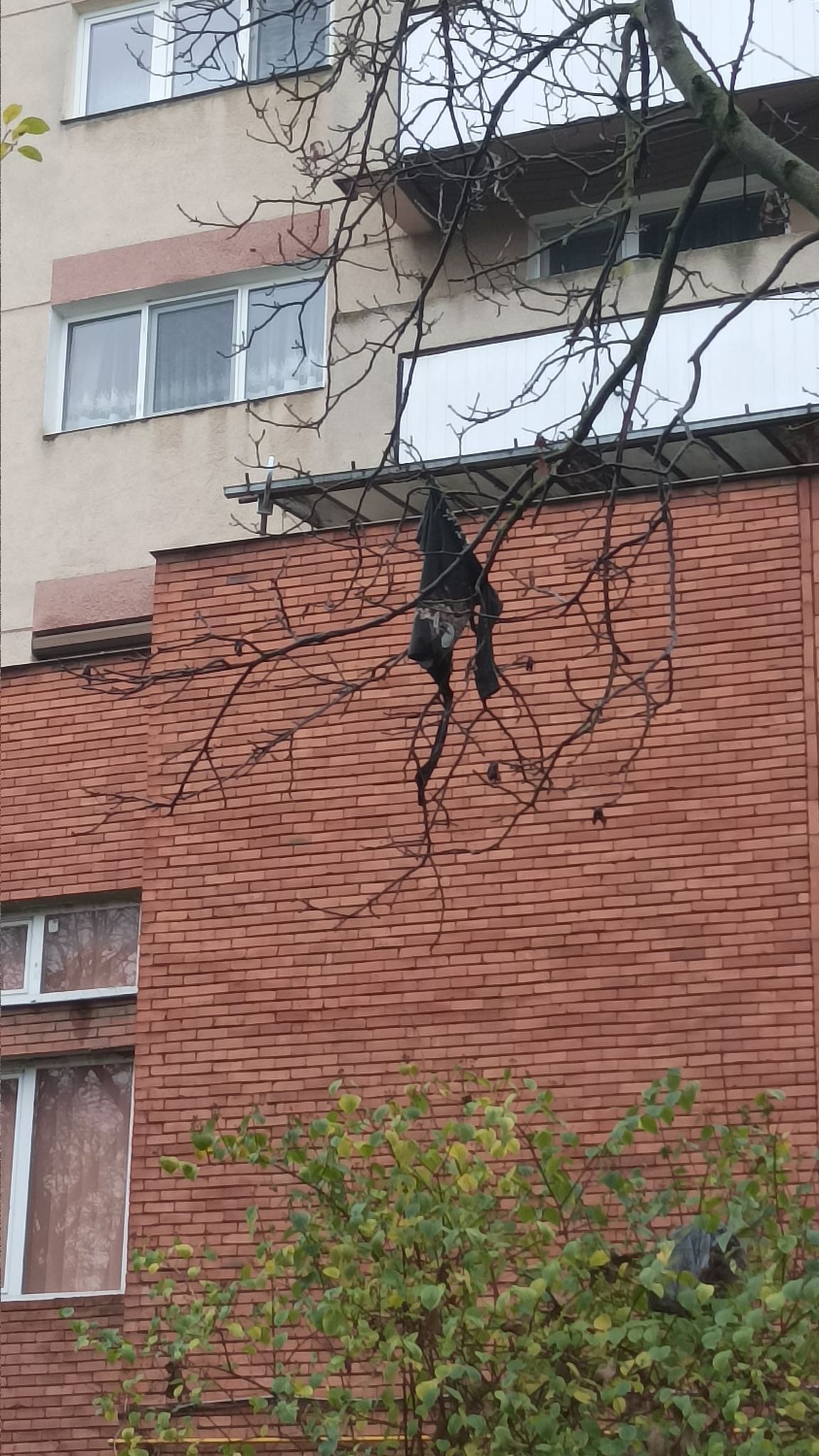 Parcul spânzuraților