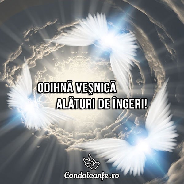 ANUNȚURI CONDOLEANȚE - IN MEMORIAM ILDIKO SUCEVEANU