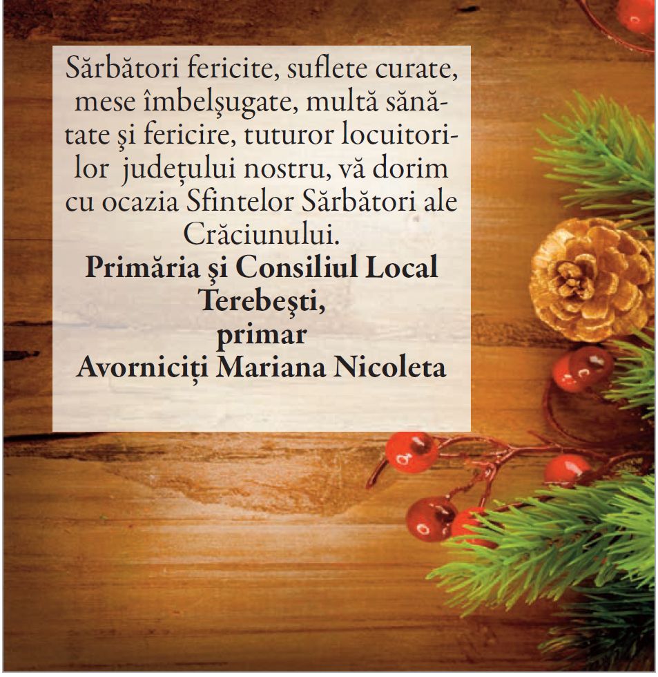 Felicitari de Craciun!