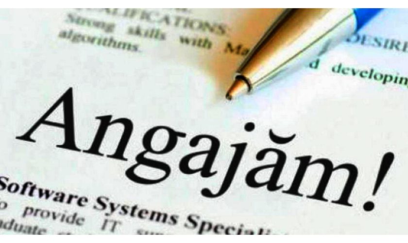 111 locuri de muncă vacante în Spaţiul Economic European