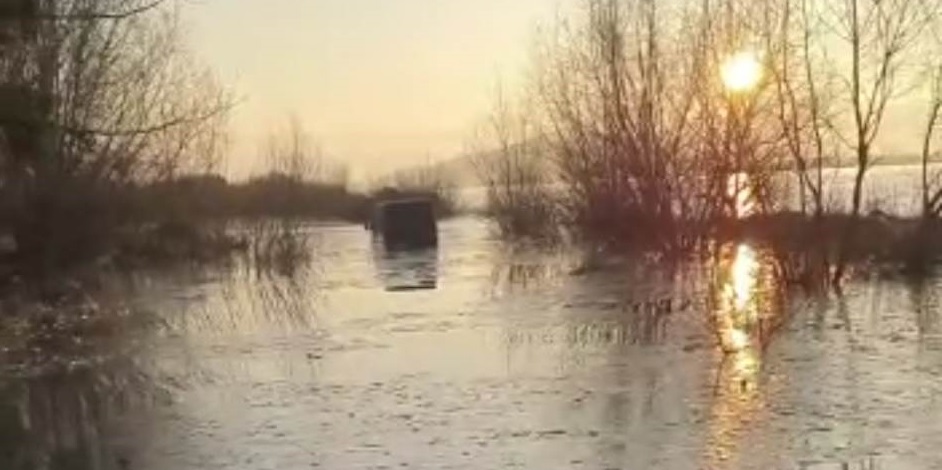 SALVARE. OȘENI SALVAȚI  din mijlocul APELOR. A ieșit din MATCĂ