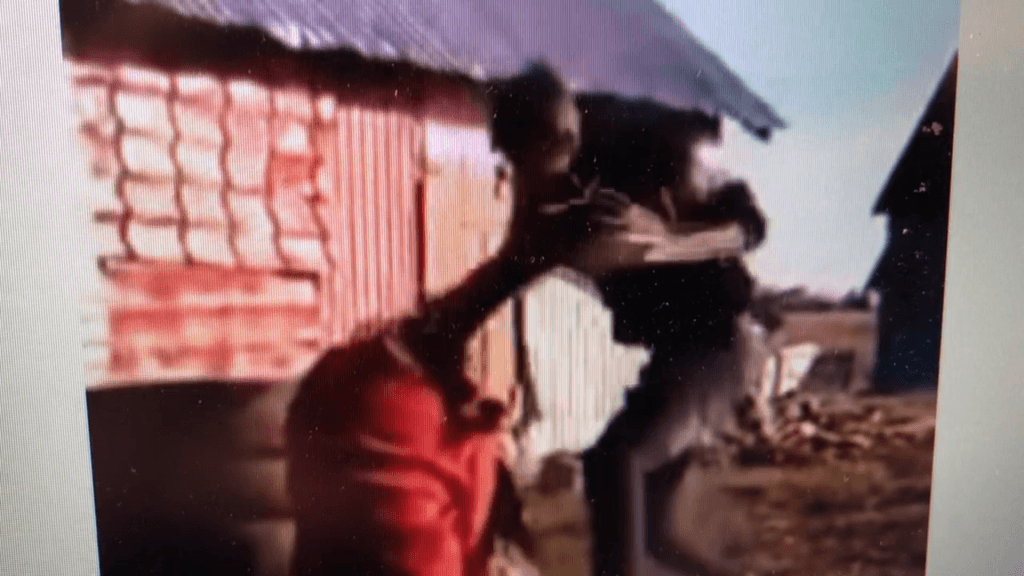 Un NEMERNIC  și-a BĂTUT CU PUMNII  concubina. Polițiștii i-au venit de hac