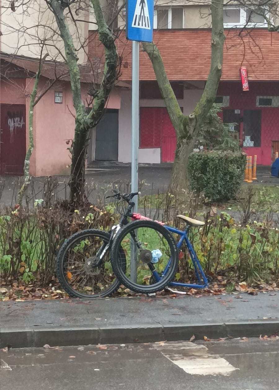 Între timp în Satu Mare...