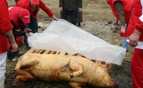 Două noi cazuri de trichineloza în județ