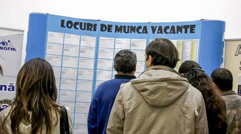 Peste 200 de locuri de muncă vacante oferite de către Agenția Județeană pentru Ocuparea Forței de Muncă Satu Mare