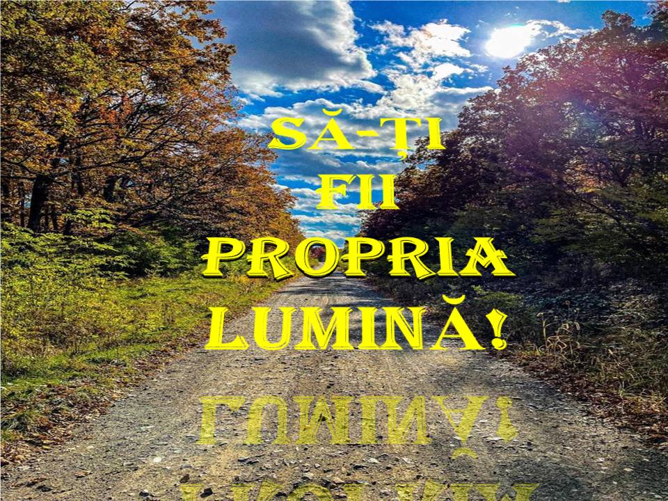 VERTICALI PENTRU ROMÂNIA: REFLECȚII LA ÎNCEPUT DE AN