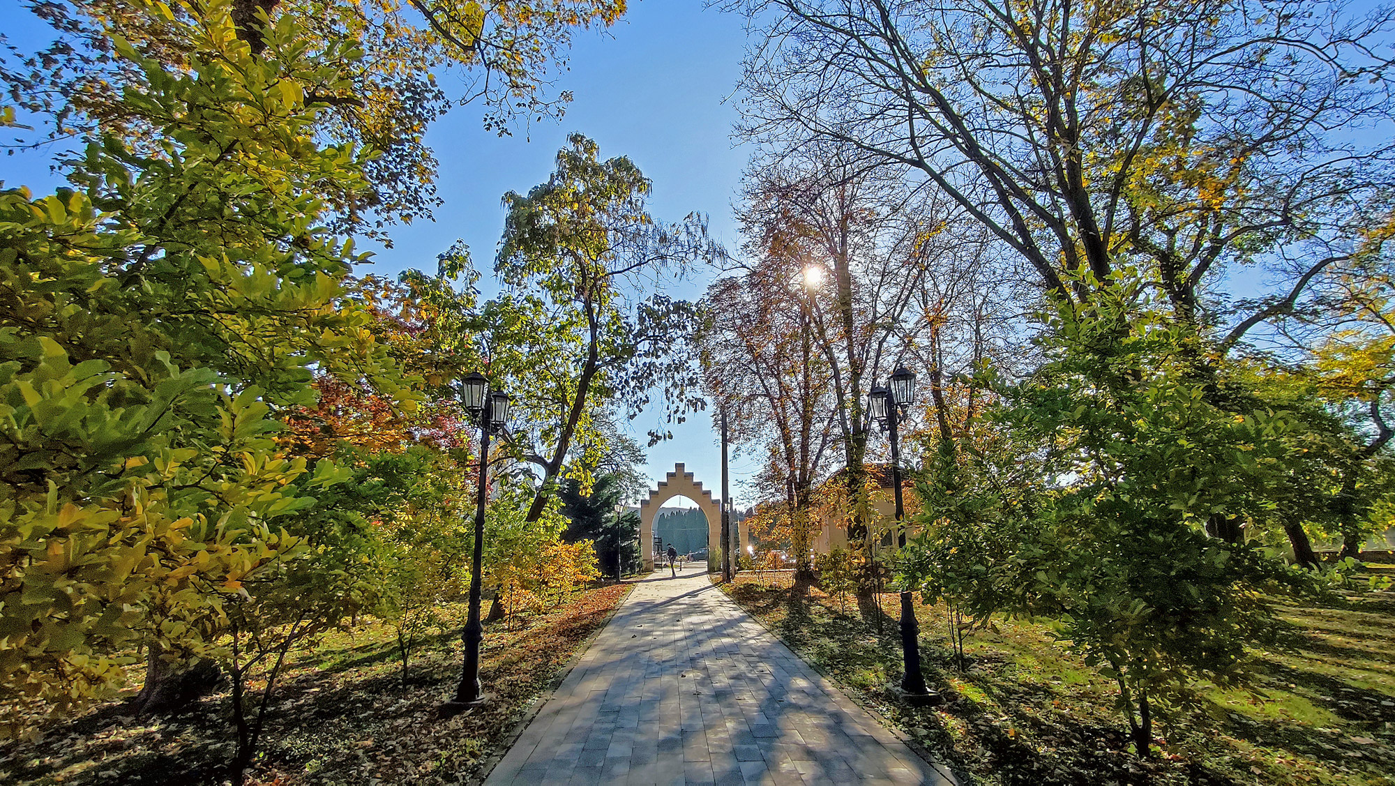 Fascinanta istorie a unuia dintre cele mai frumoase parcuri dendrologice din țară