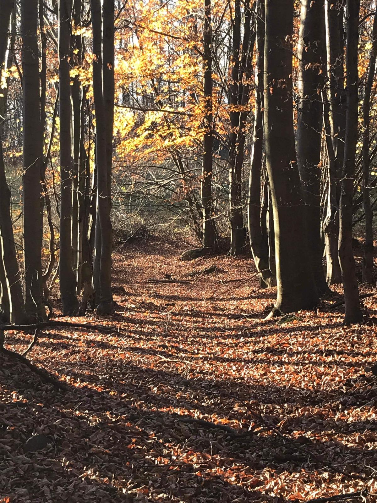 Info Salvamont – chiar dacă vremea este mai degrabă primăvăratică se recomandă purtarea echipamentului de iarnă în drumeții